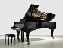 Sauter Concert 275