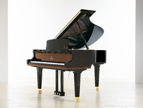Sauter Delta 185