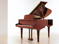 Sauter Noblesse 160