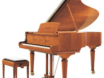 Sauter Noblesse 160