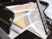 Sauter Omega plus 220