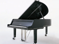 Sauter Ambiente 230