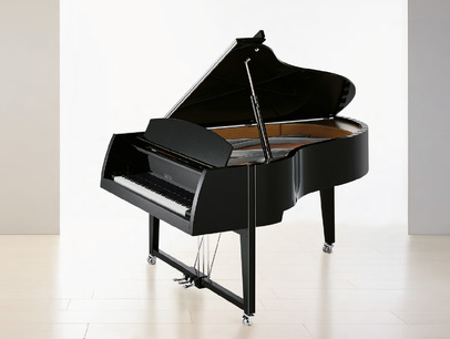 Sauter Vivace 210