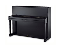 Sauter Carus 114