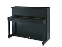 Sauter Cosmo 116