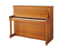 Sauter Cosmo 116