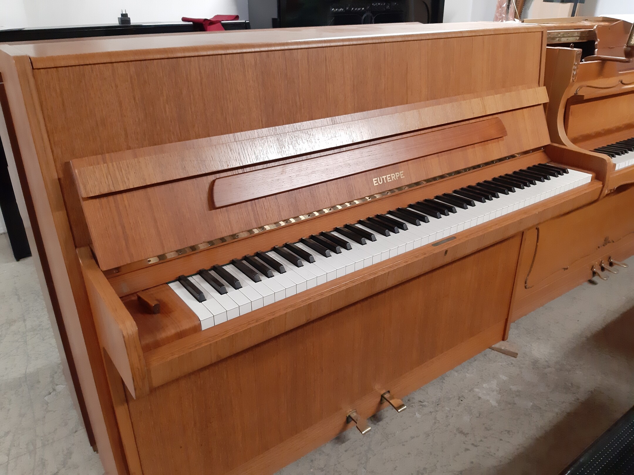 Euterpe 114 von 1979 in Nussbaum satiniert
