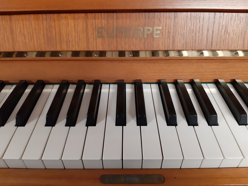 Euterpe 114 von 1979 in Nussbaum satiniert