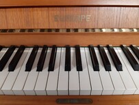 Euterpe 114 von 1979 in Nussbaum satiniert