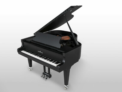Schimmel Black Pearl C 169