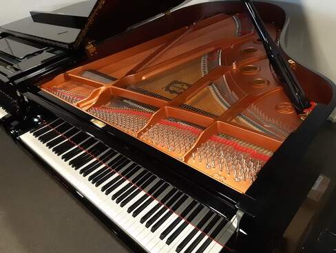 Yamaha C3XSH von 2018 in Schwarz poliert
