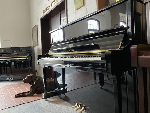 Yamaha U1SHTA von 2016 in Schwarz poliert