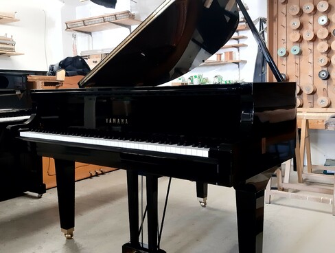 Yamaha GB1 von 2019 in Schwarz poliert