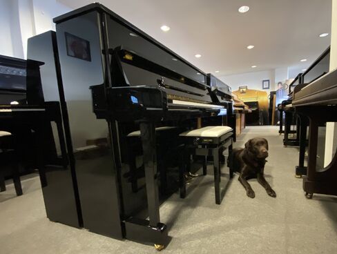Hoffmann V112 von 2011 in Schwarz poliert