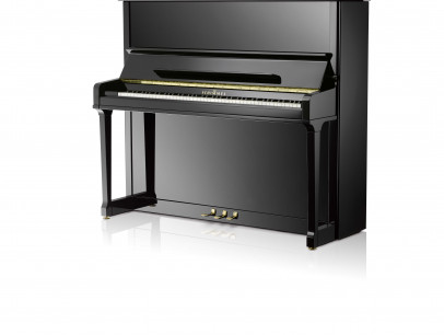 Schimmel K 132 Tradition