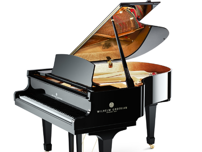 Grotrian-Steinweg WGS 165