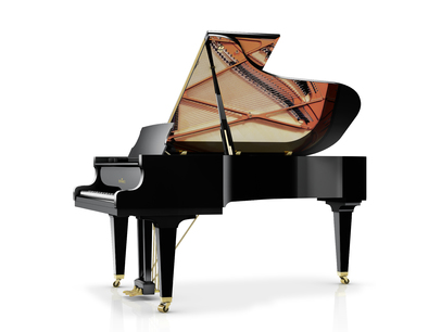 Schimmel C 213 Tradition