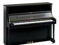 Yamaha U1