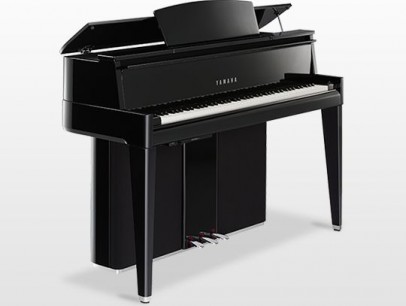 Yamaha N2